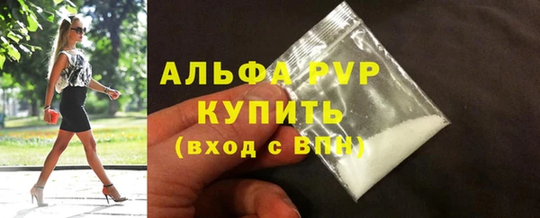 СК Алексин