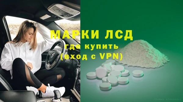СК Алексин