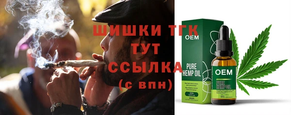 СК Алексин