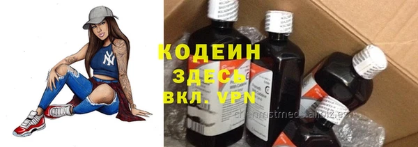 хмурый Алзамай