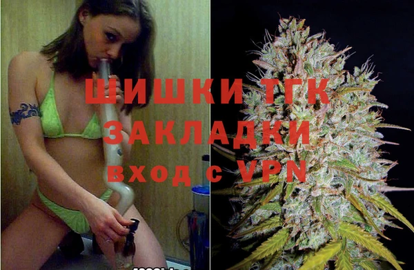 СК Алексин