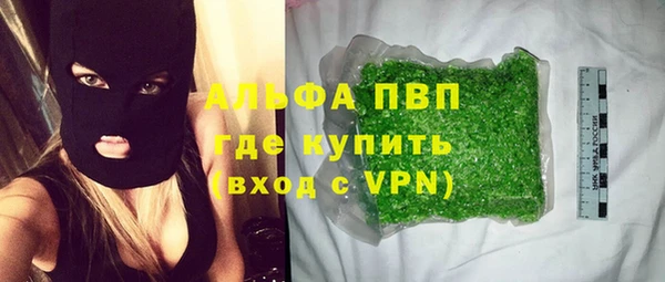 хмурый Алзамай