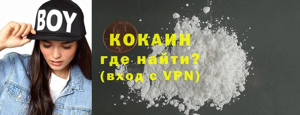 хмурый Алзамай